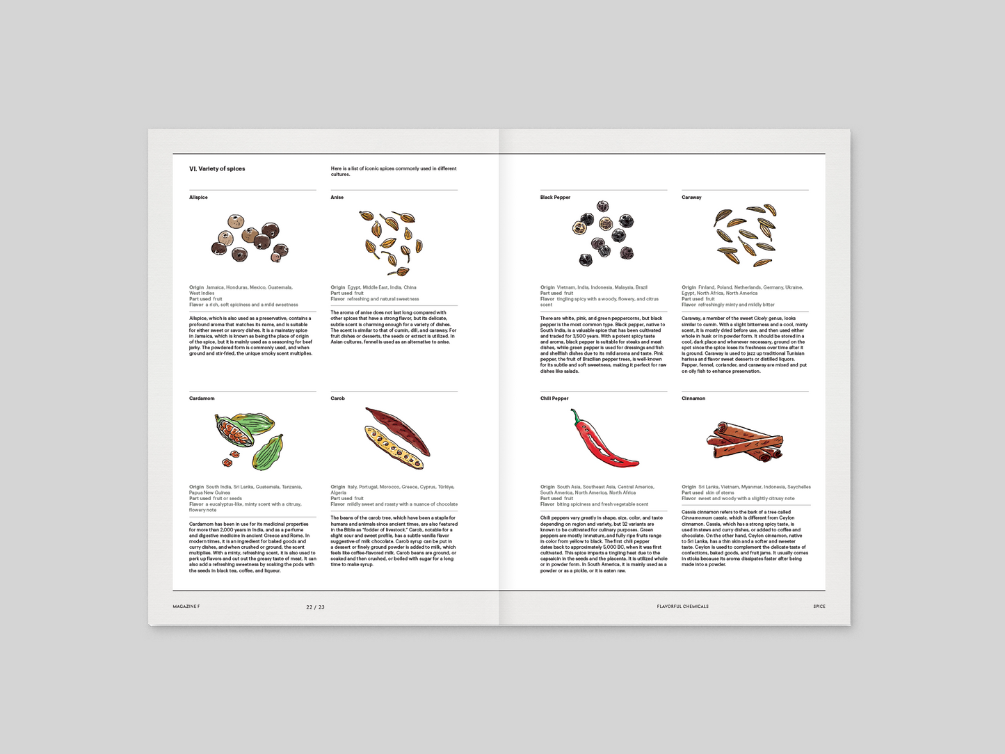 Magazine F - Spice