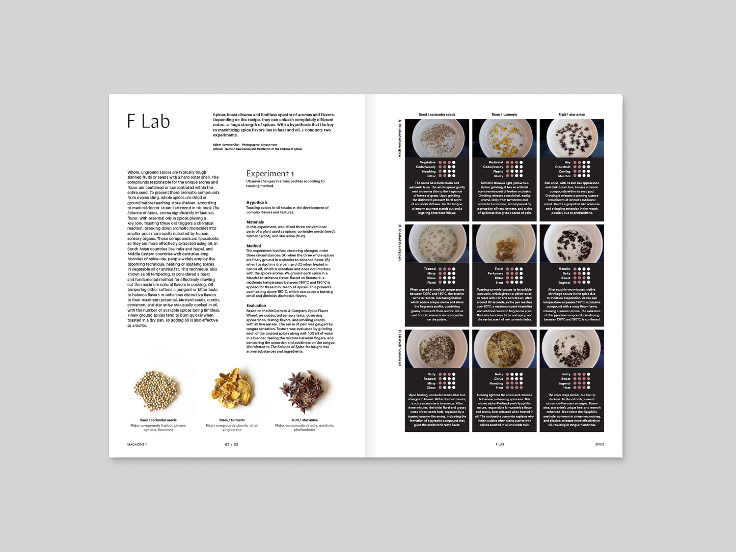 Magazine F - Spice