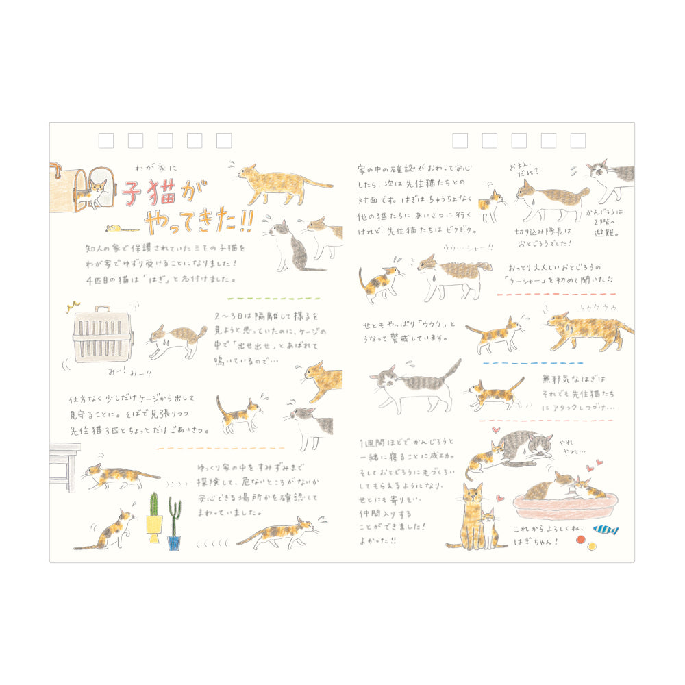 Midori 2026 Ring Calendar - Cat