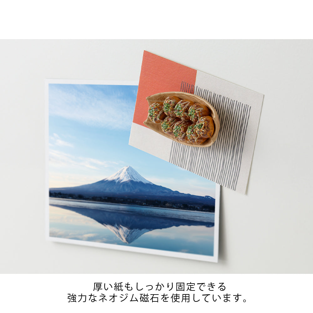 Midori Food Magnet (4 styles)