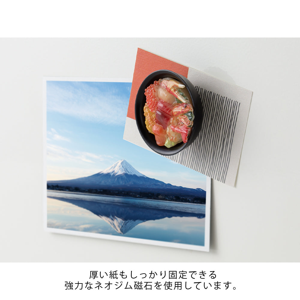 Midori Food Magnet (4 styles)