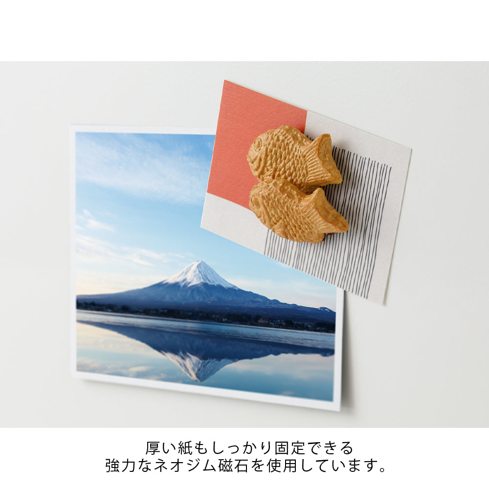 Midori Food Magnet (4 styles)