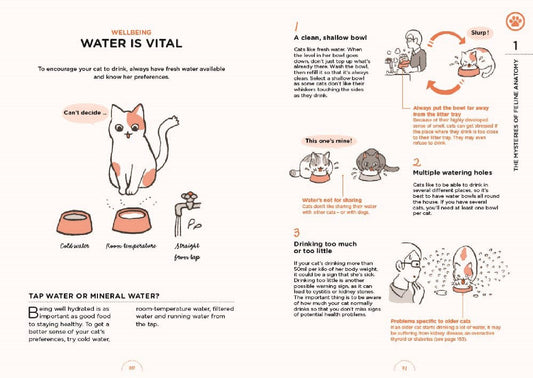 What Cats Want