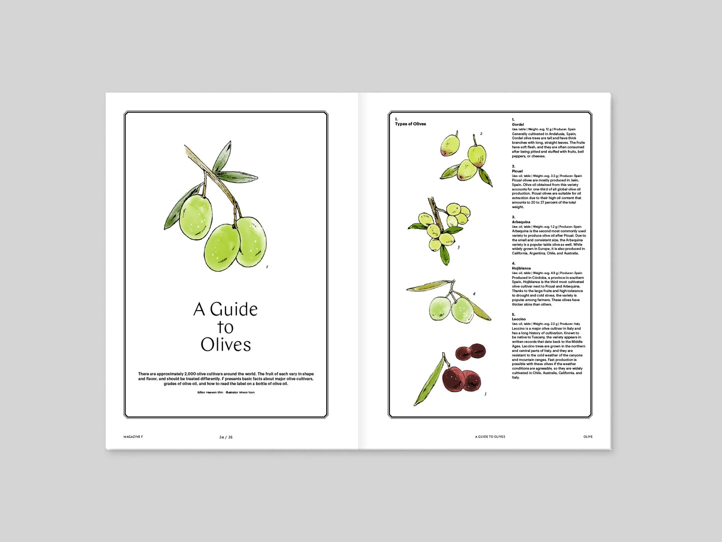 Magazine F - Olive