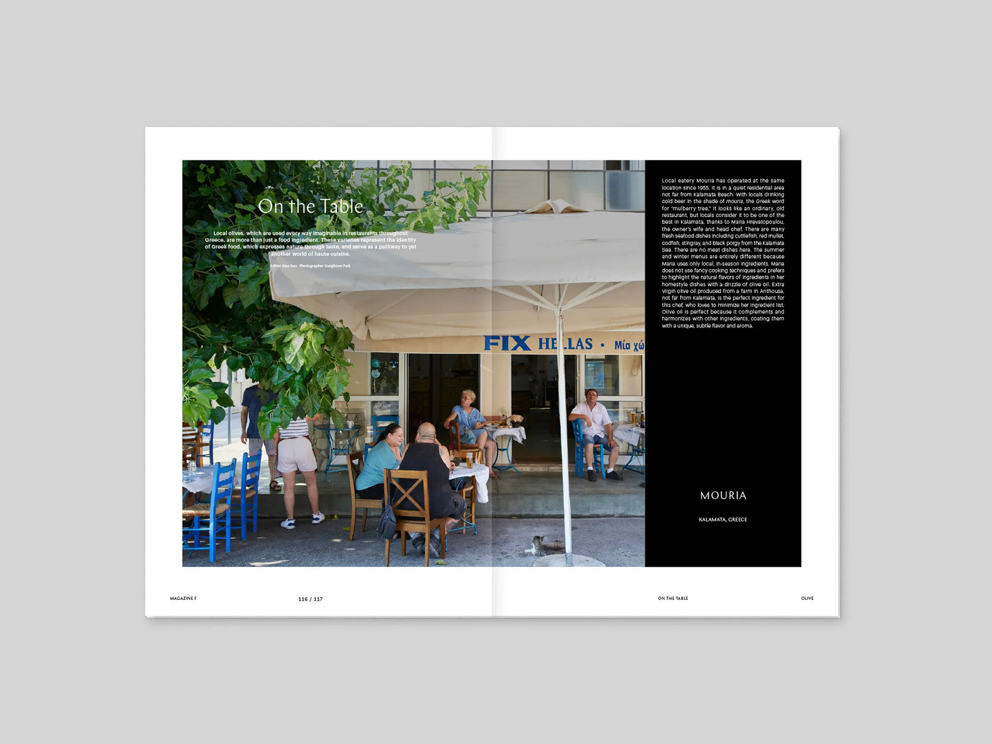 Magazine F - Olive
