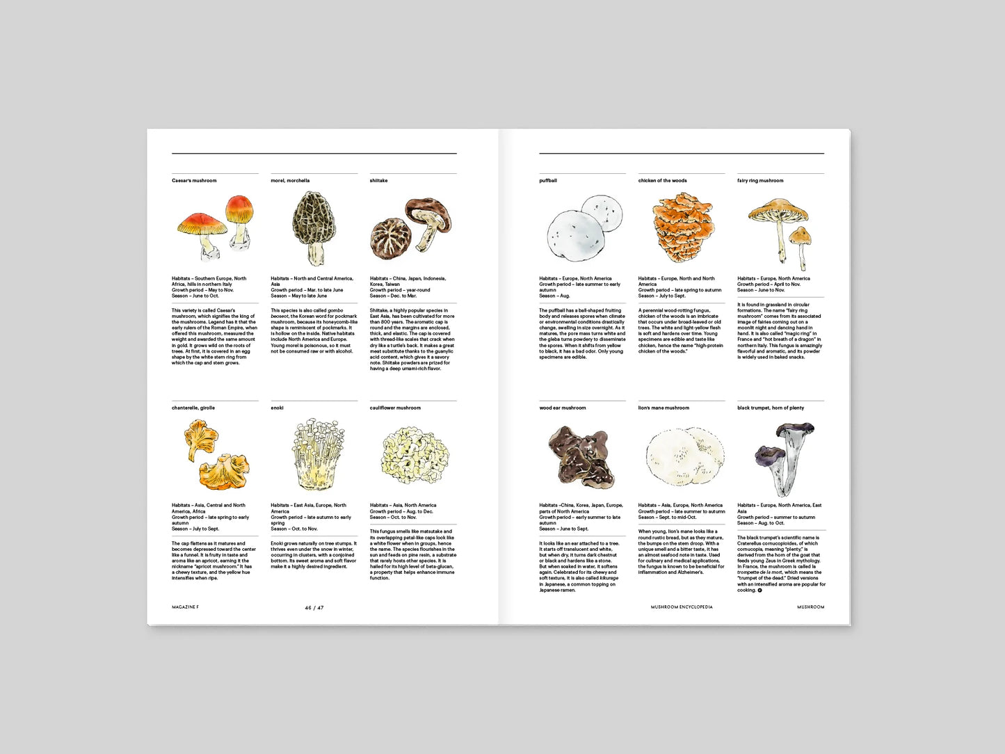 Magazine F - Mushroom