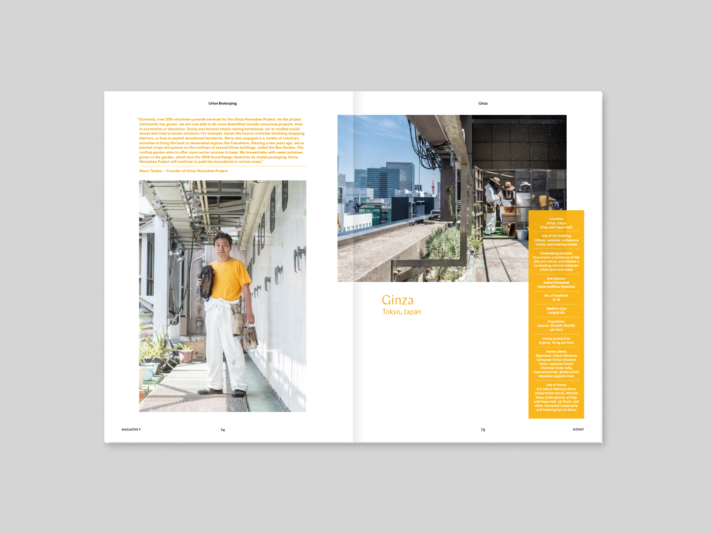 Magazine F - Honey
