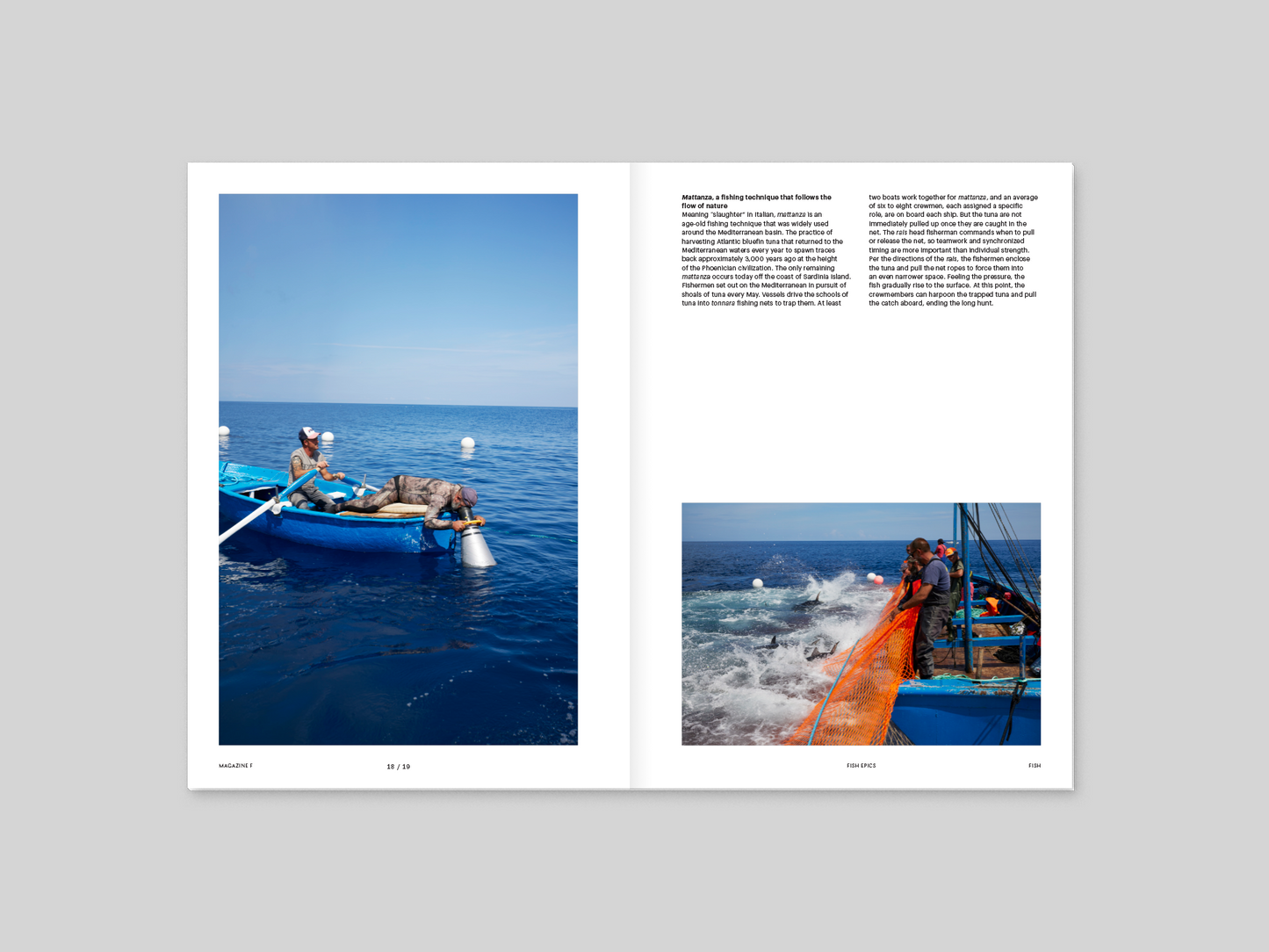 Magazine F - Fish
