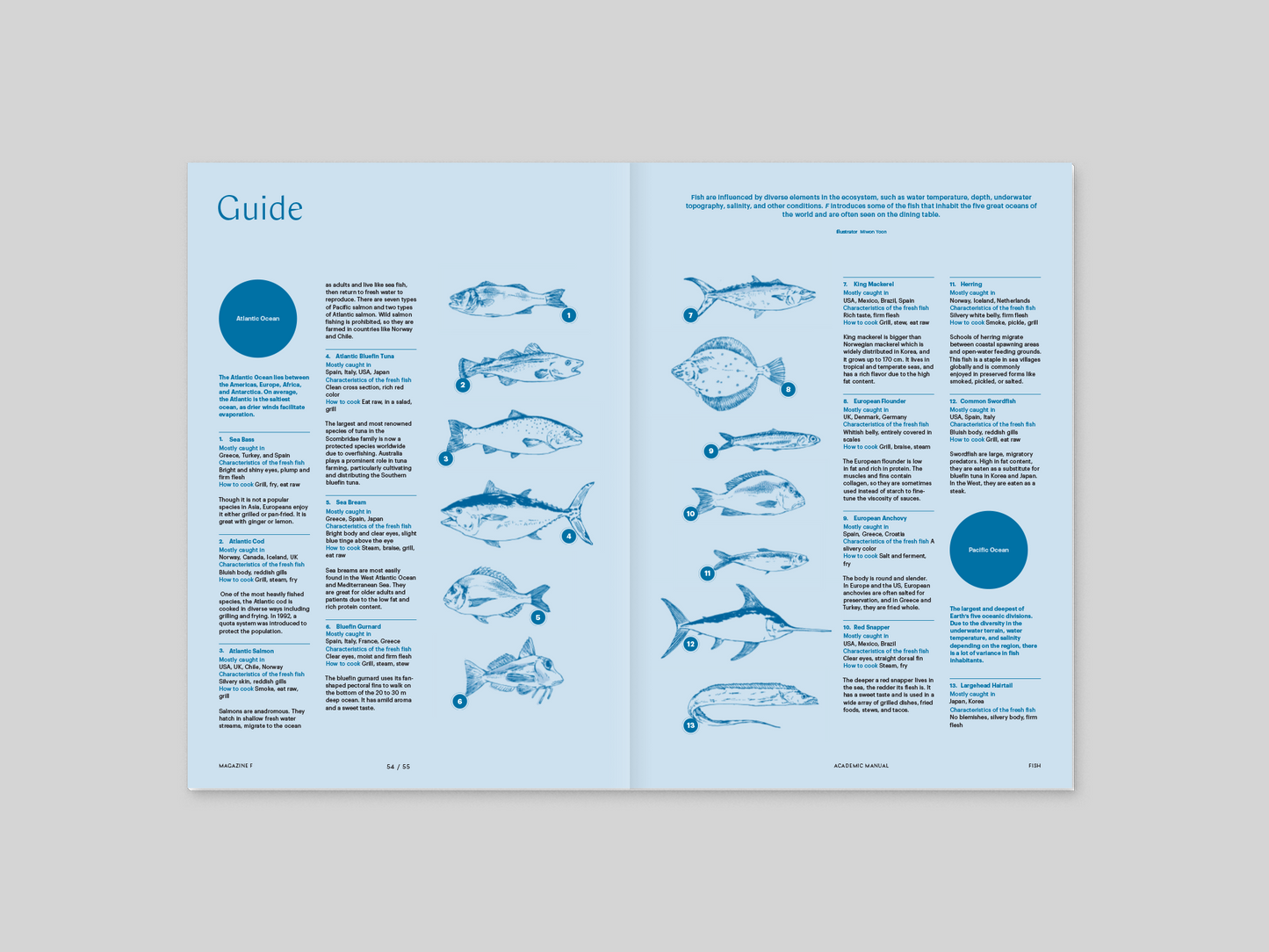 Magazine F - Fish