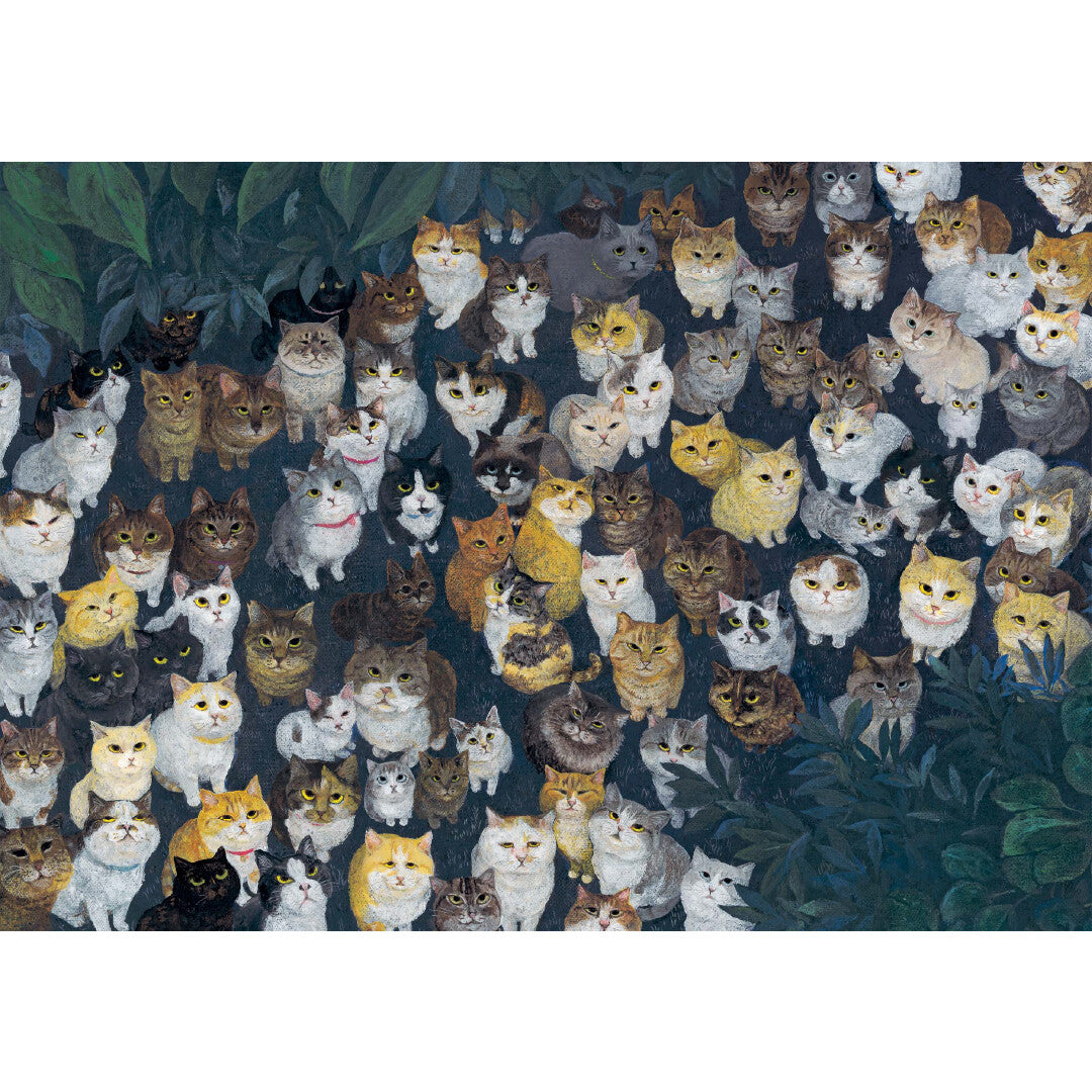 Cats at Every Turn