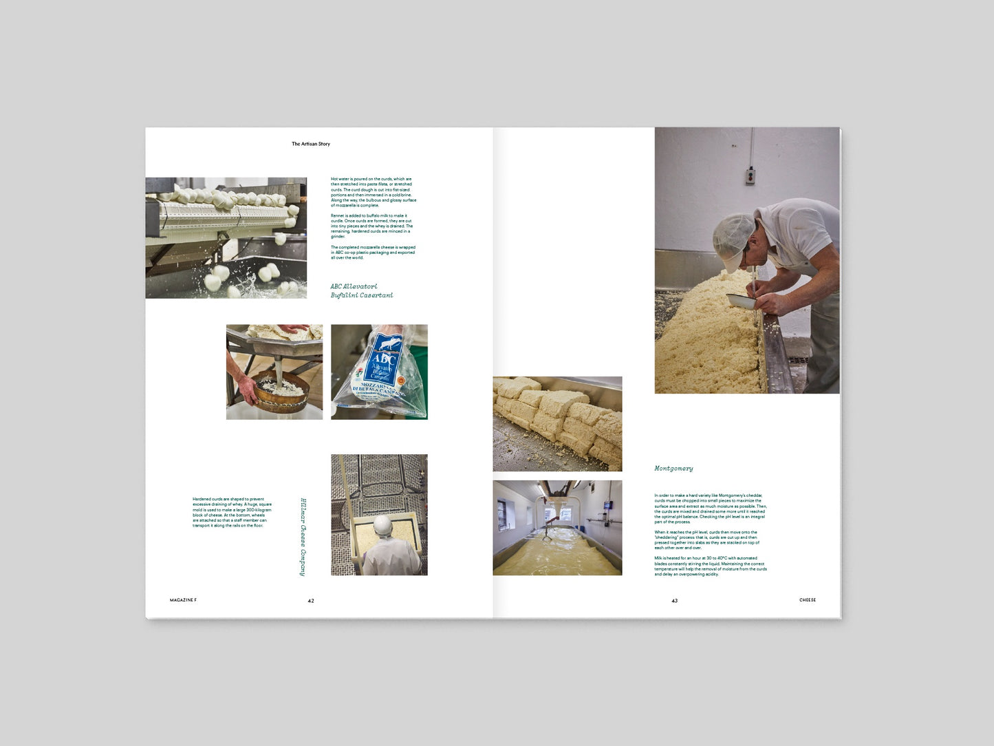 Magazine F - Cheese