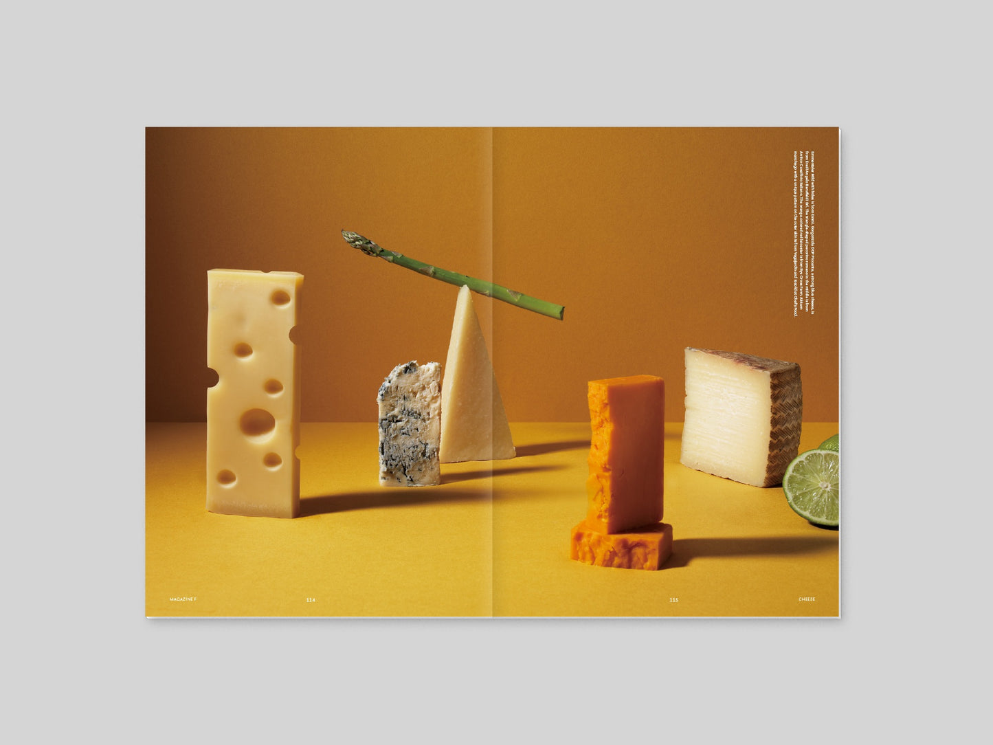 Magazine F - Cheese