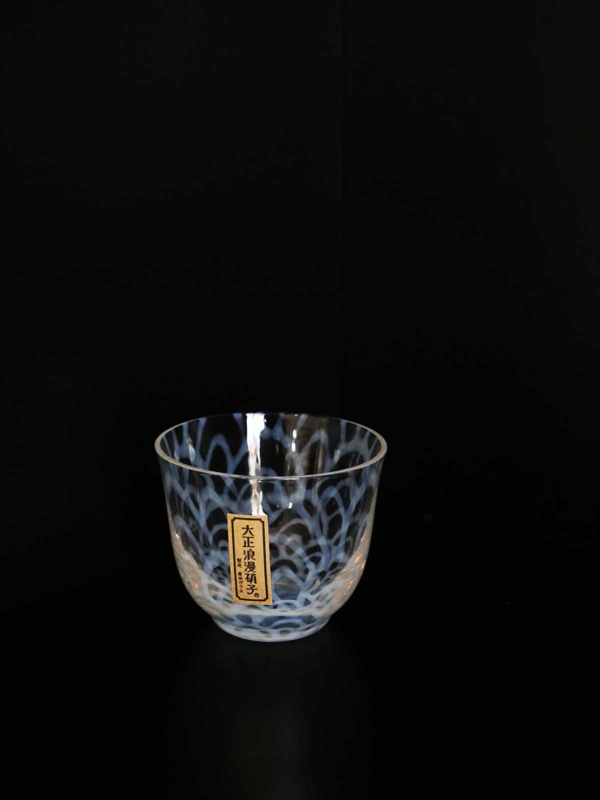 HIROTA Taisho Roman Water Tumbler - Sea Wave