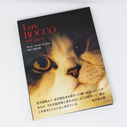 [10% off] Luv. Rocco by Masaki Hoshino
