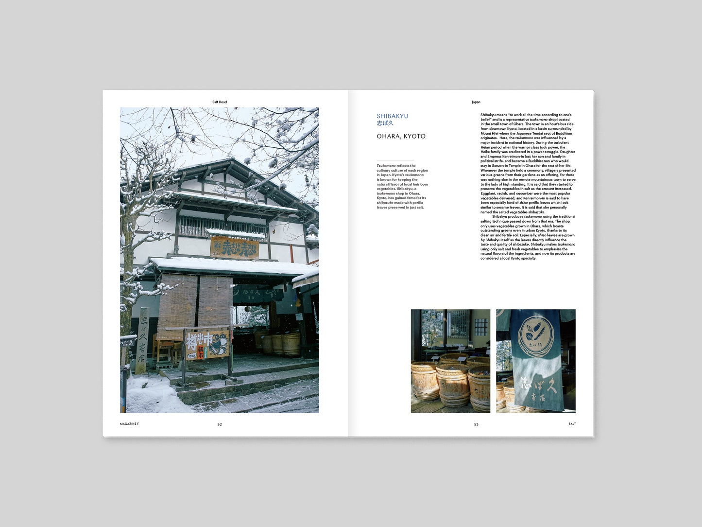 Magazine F - Salt