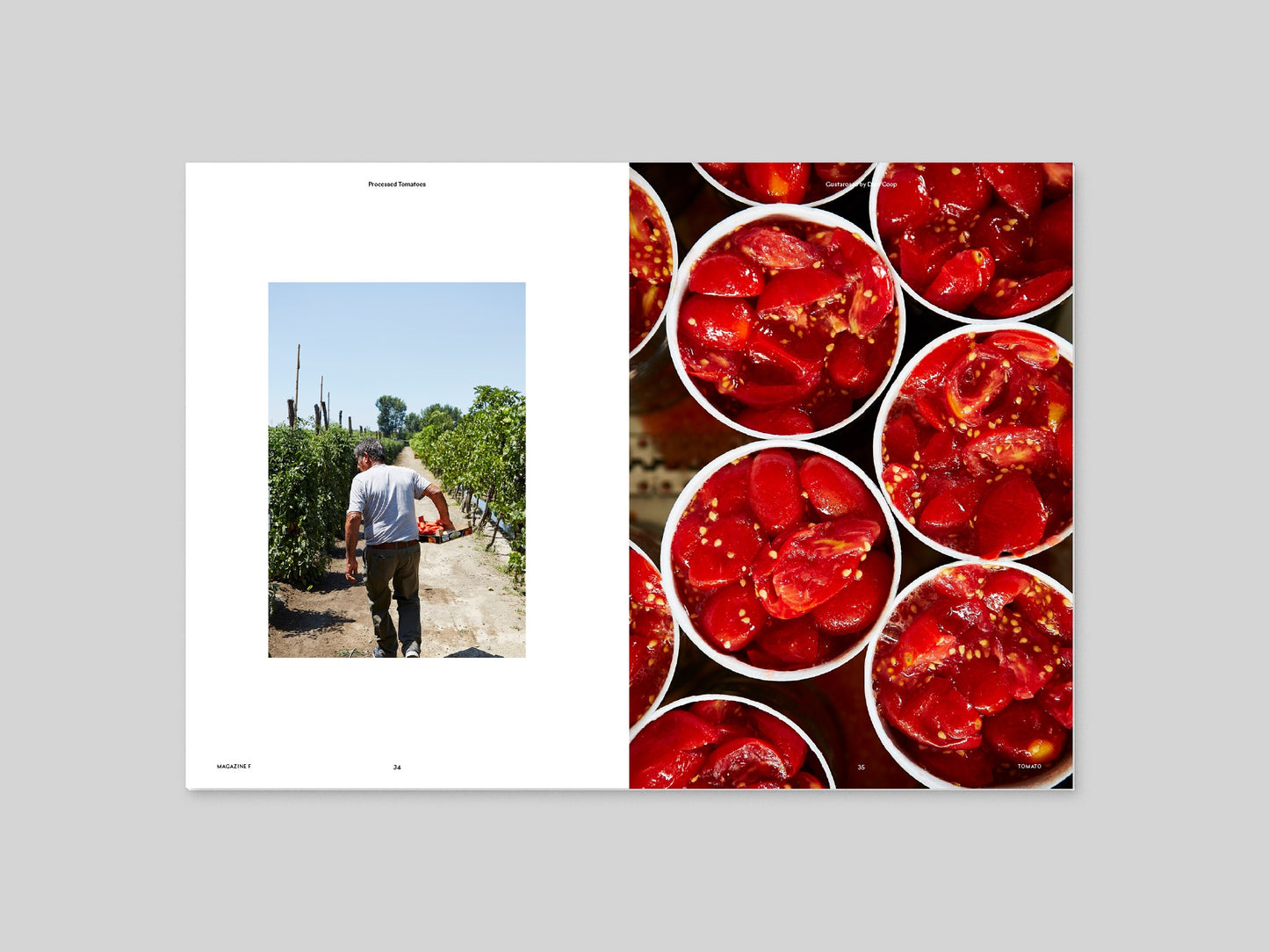Magazine F - Tomato