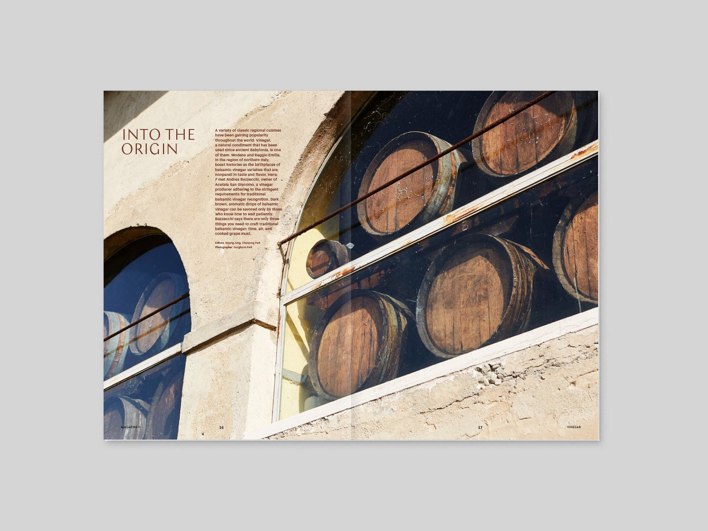 Magazine F - Vinegar