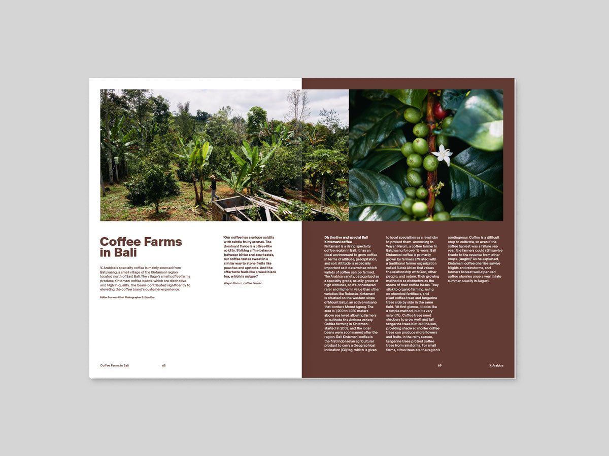 Magazine B - % Arabica