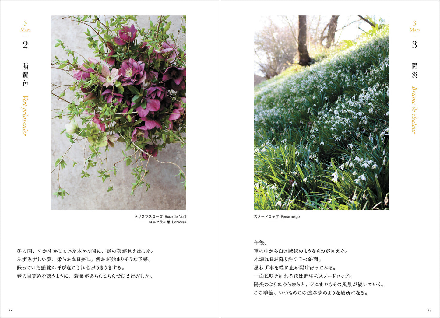 365 Days of Flowers from a French Garden