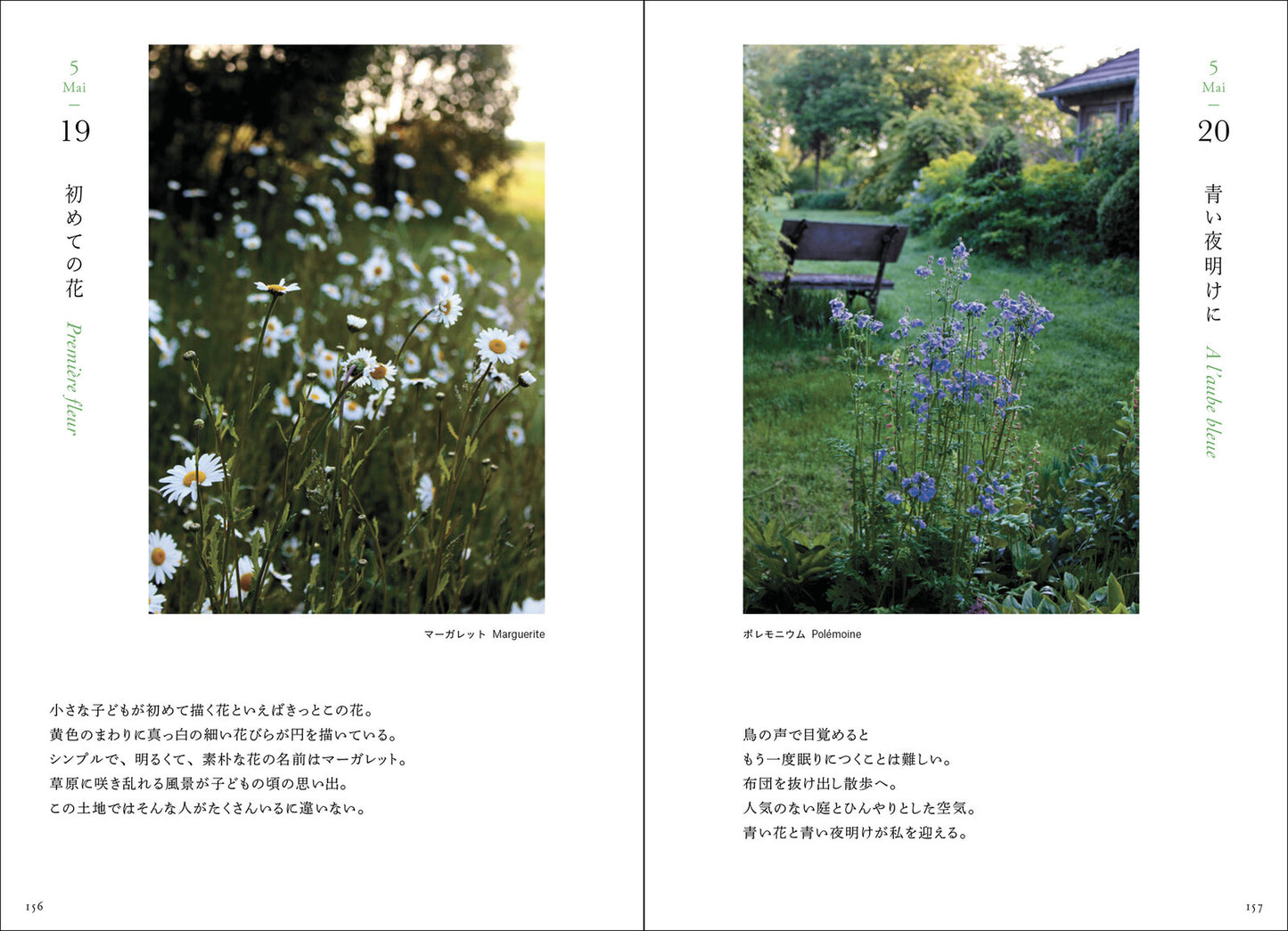 365 Days of Flowers from a French Garden