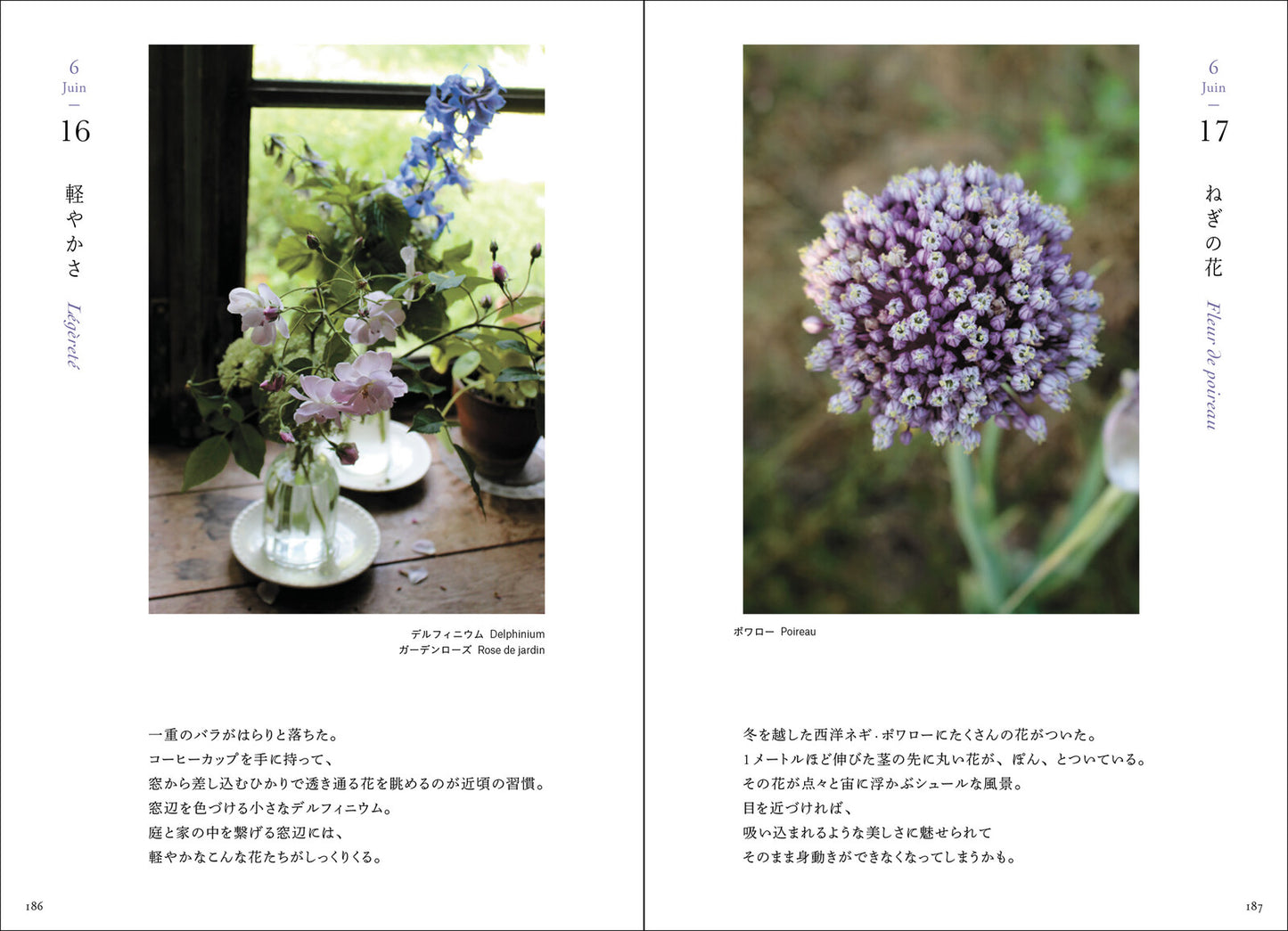 365 Days of Flowers from a French Garden