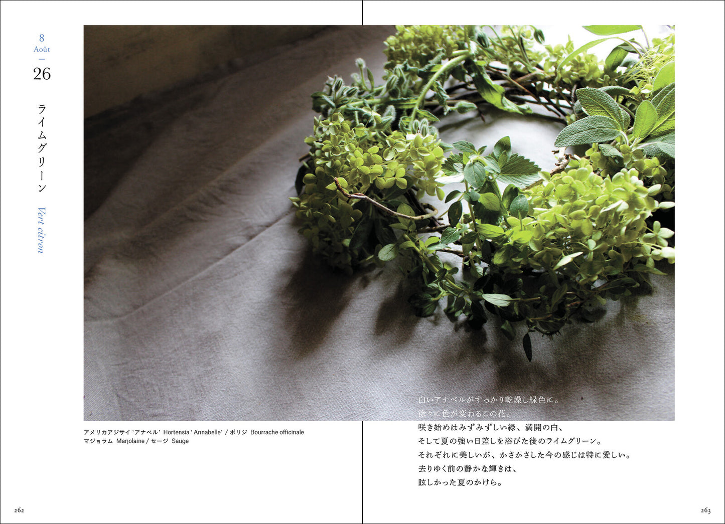 365 Days of Flowers from a French Garden