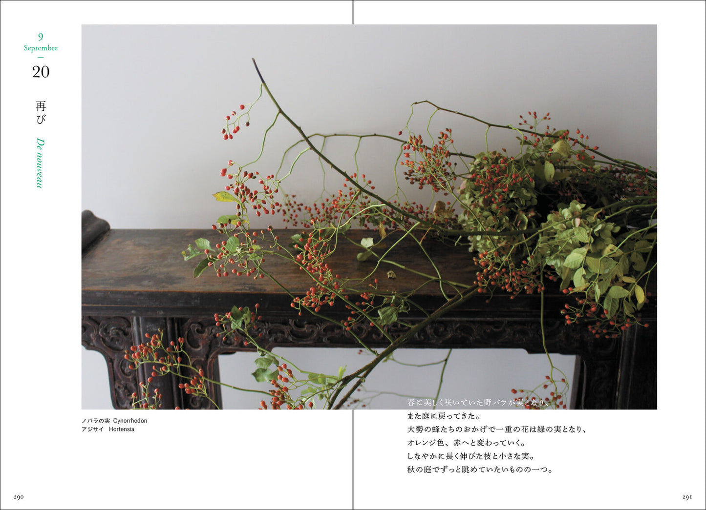 365 Days of Flowers from a French Garden