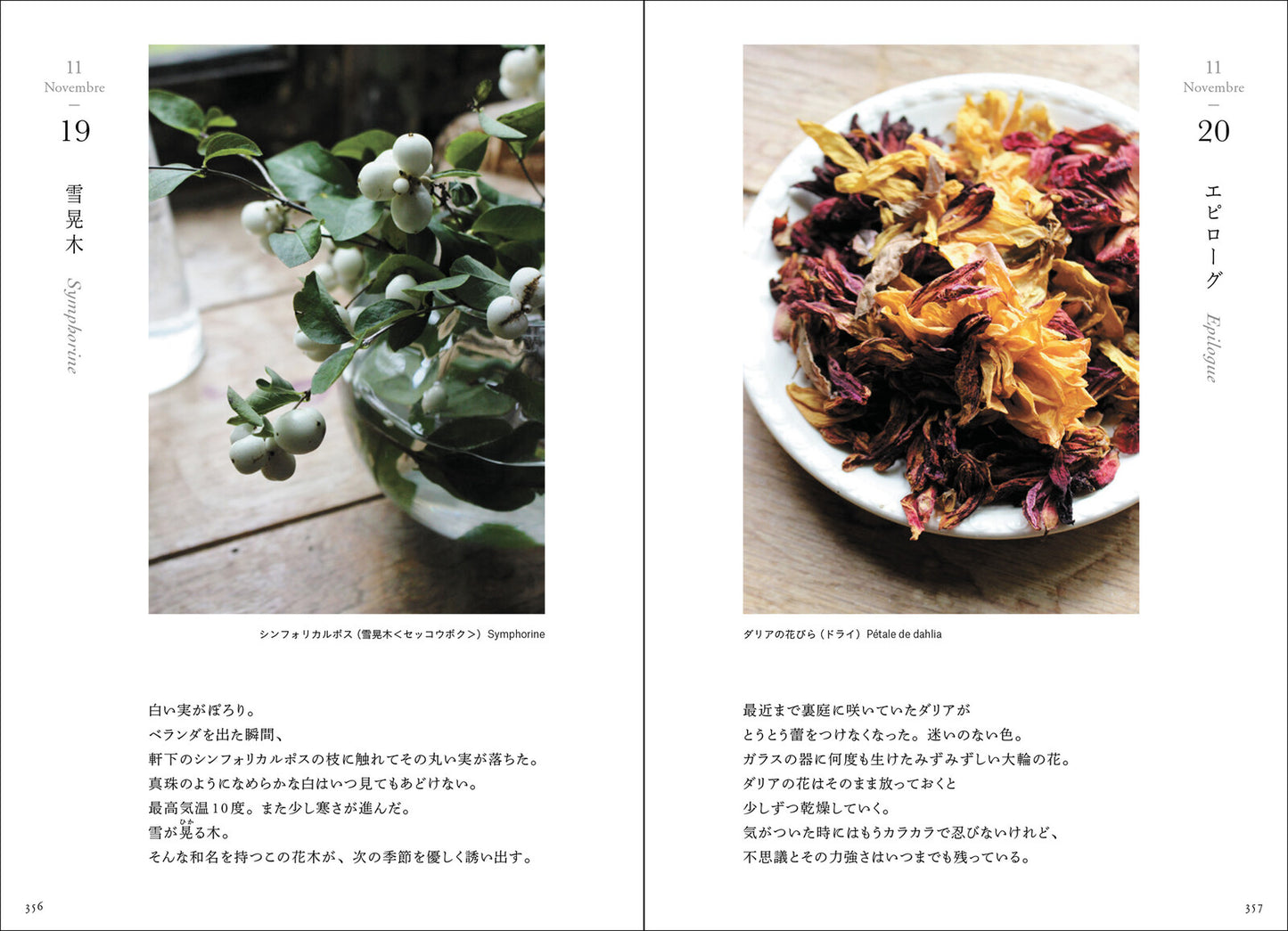 365 Days of Flowers from a French Garden