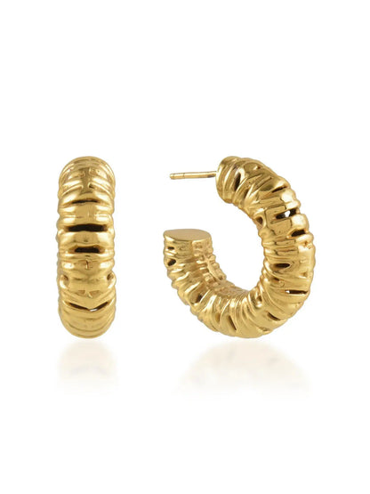 Shyla Cecili Hoops Earrings - Gold