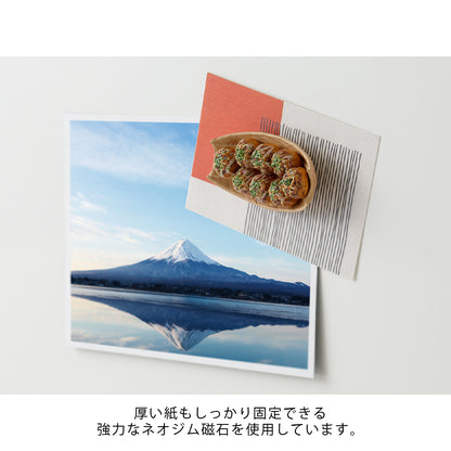 Midori Food Magnet (4 styles)