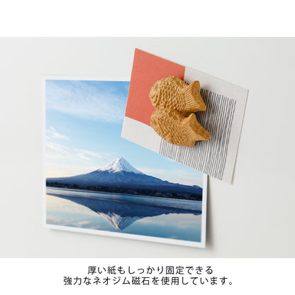 Midori Food Magnet (4 styles)