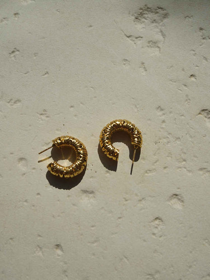Shyla Cecili Hoops Earrings - Gold