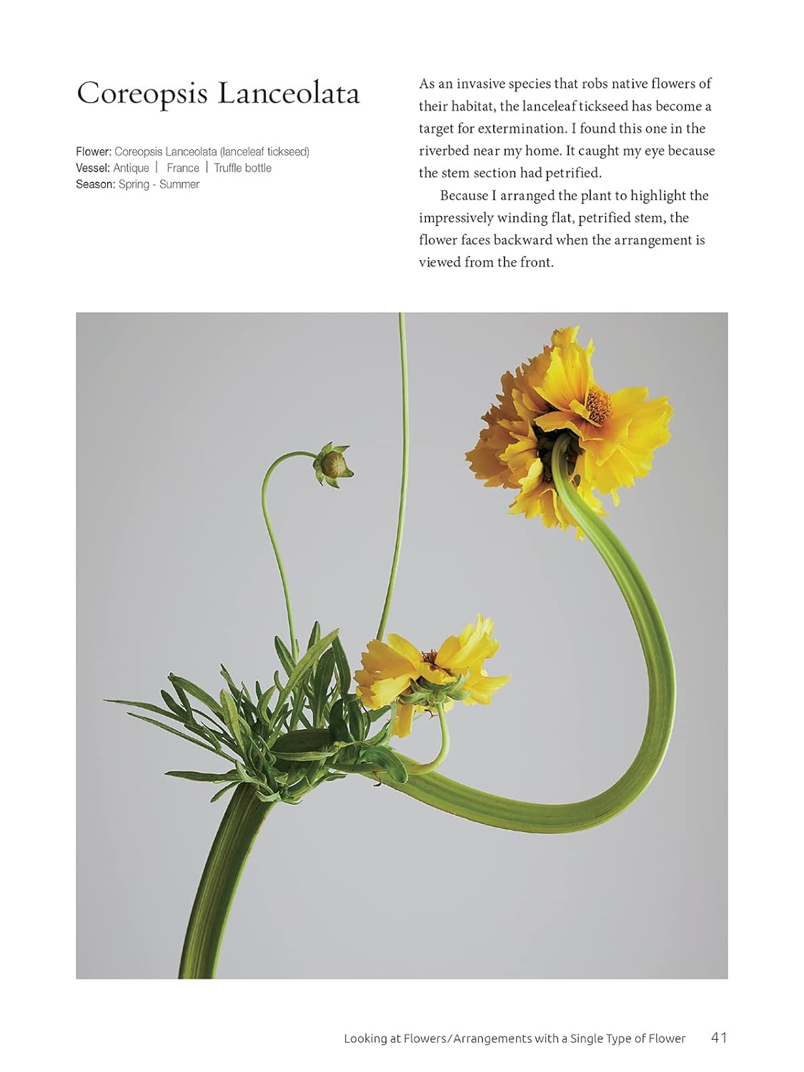 Ikebana: The Zen Way of Flowers