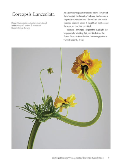 Ikebana: The Zen Way of Flowers