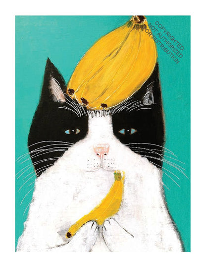 The Secret Life of Cats: Correspondence Cards