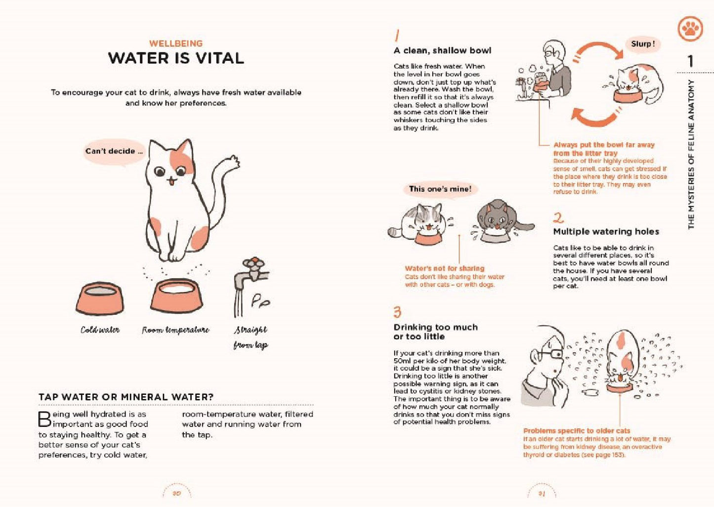 What Cats Want