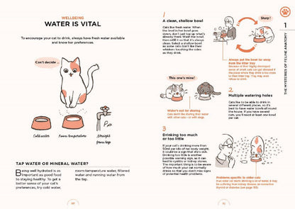 What Cats Want