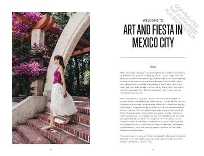 Art and Fiesta in Mexico City - An Insider's Guide to the Best Places to Eat, Drink and Explore