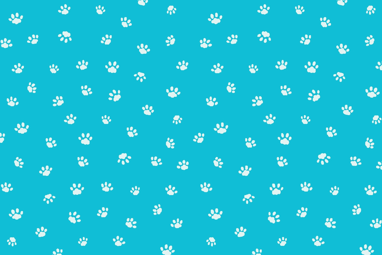 All the Cats I've Ever Met: A Catspotting Log