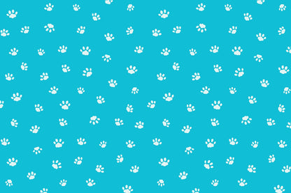 All the Cats I've Ever Met: A Catspotting Log