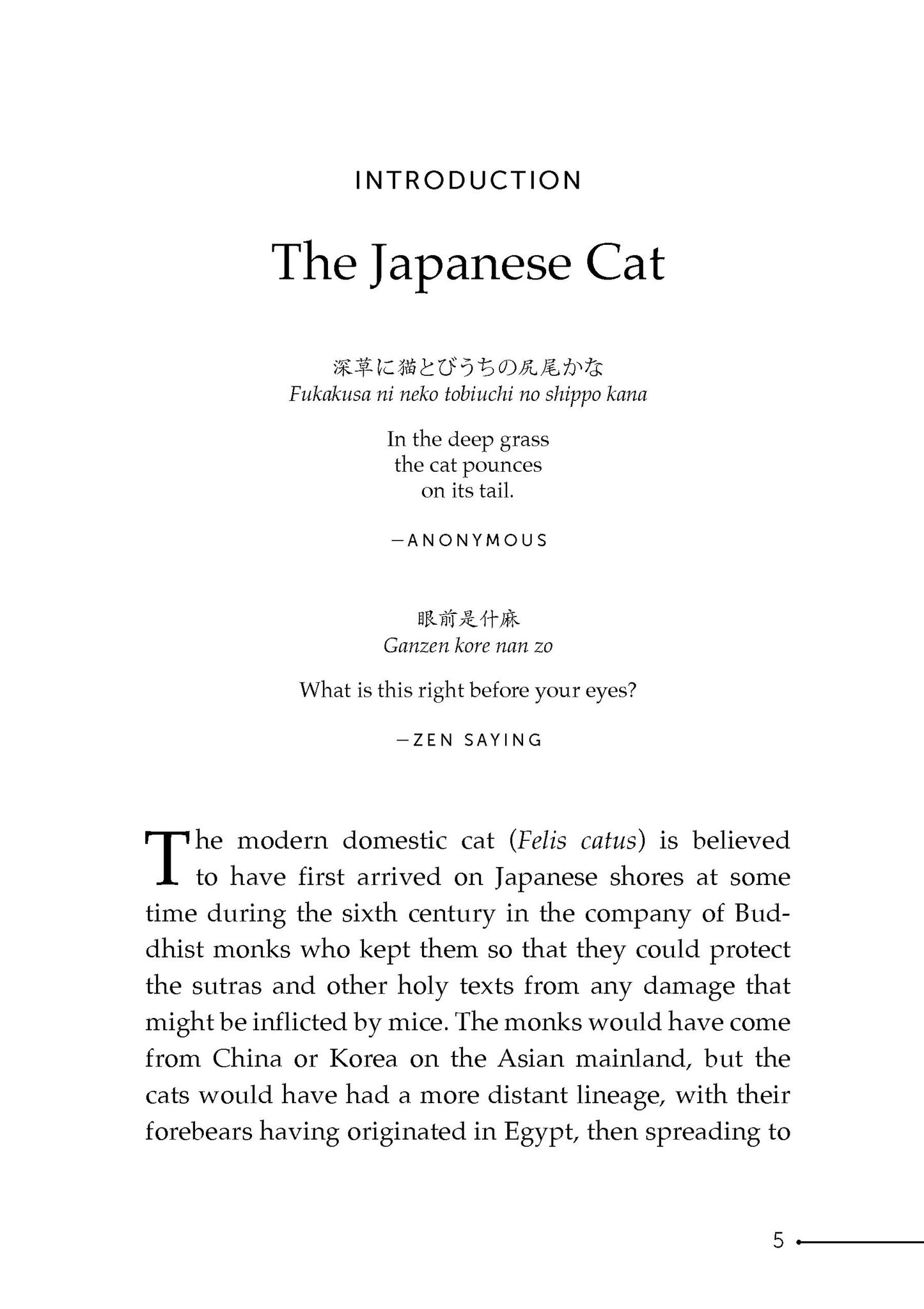 Japanese Haiku for Cat Lovers
