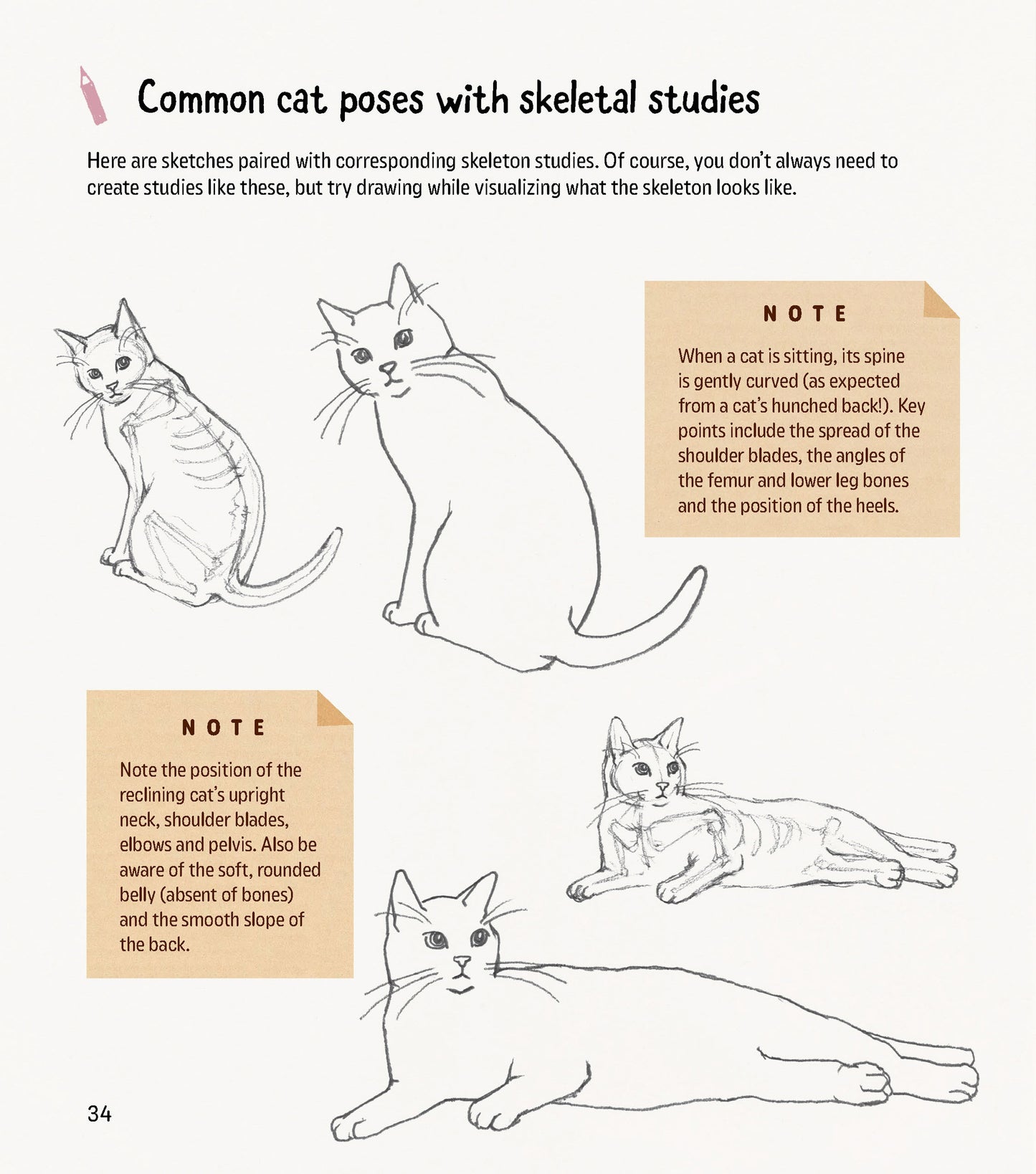 How to Draw Kawaii Cats