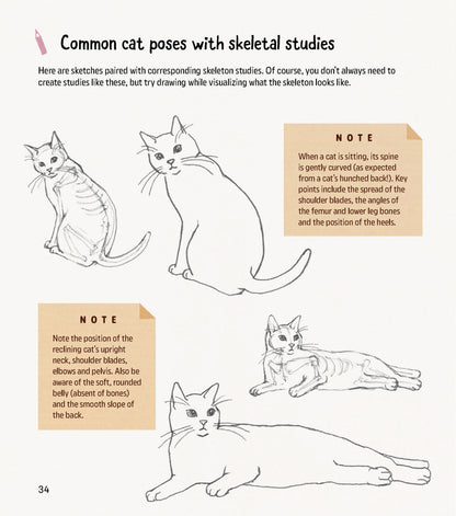 How to Draw Kawaii Cats
