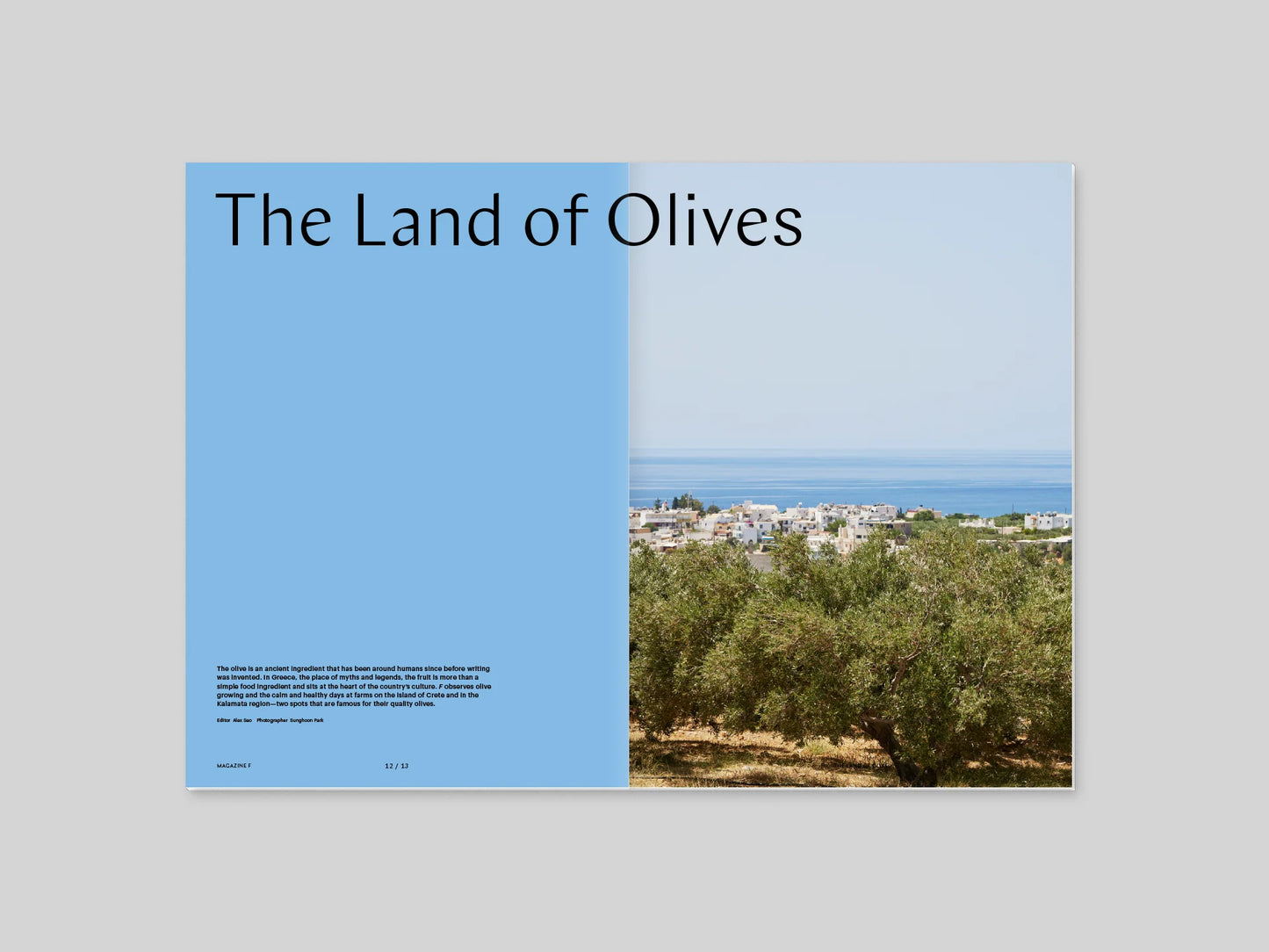 Magazine F - Olive