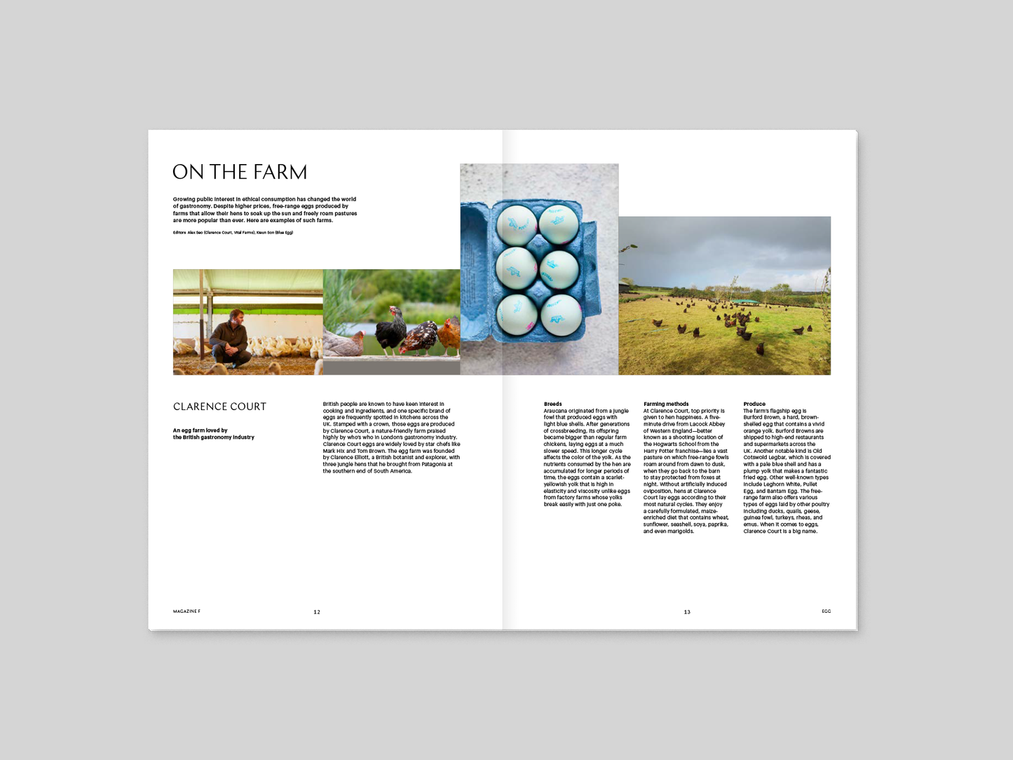Magazine F - Egg