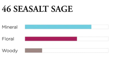 BeCandle - No. 46 Seasalt Sage