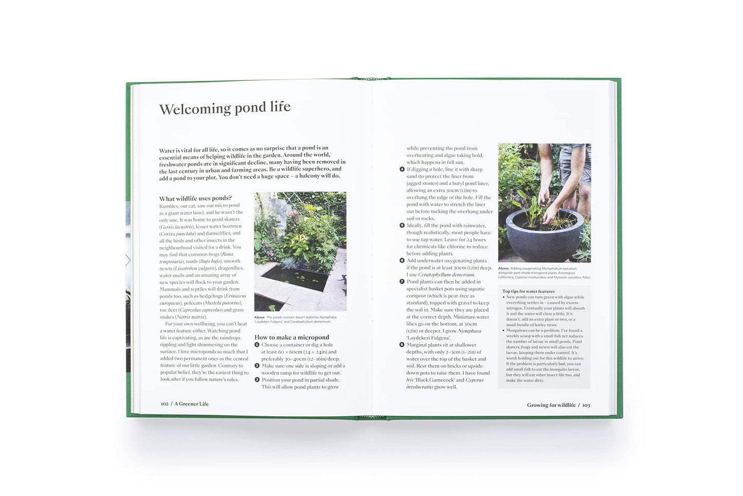 [10% off] A Greener Life: Discover the joy of mindful and sustainable gardening